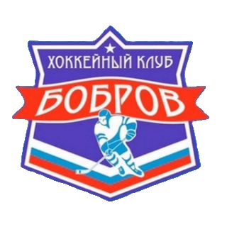 ХК Бобров