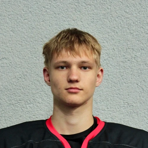Gritusev Daniil Andreevich