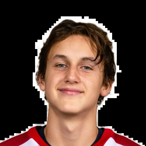 Rodionov Kirill Mihailovich
