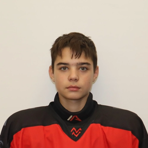 Lapshin Yaroslav Sergeevich