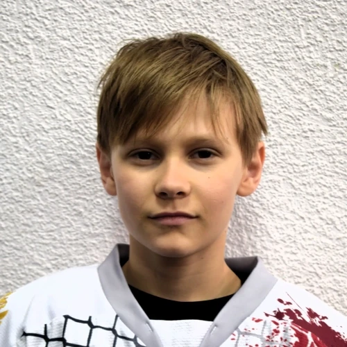 Shadrin Artem Denisovich
