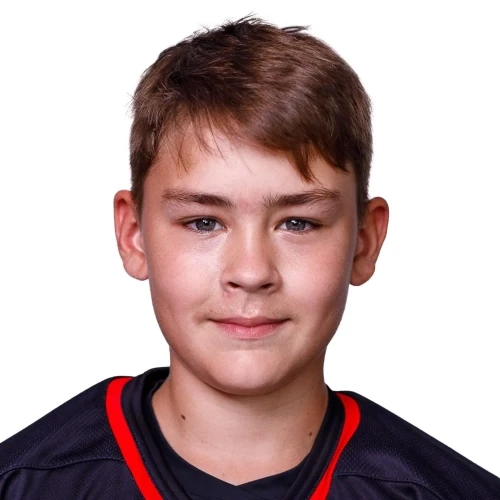 Shamsutdinov David Ilyasovich