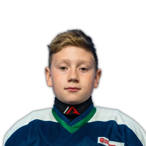 Silaev Dmitrii Evgenevich
