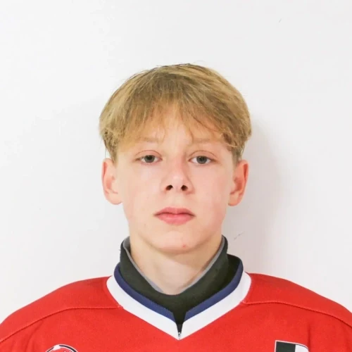 Abaturin Fedor Igorevich