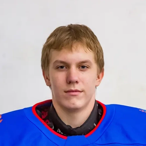 Chernyatev Mihail Artemovich