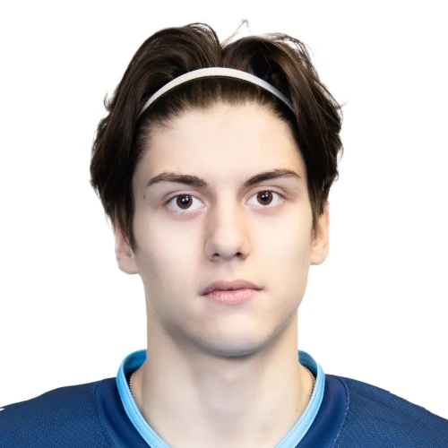Hozin Timofei Aleksandrovich