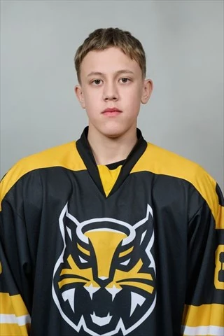 Sobolev Danil Dmitrievich