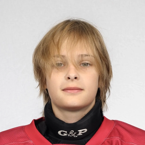 Katargin Grigorii Vladislavovich