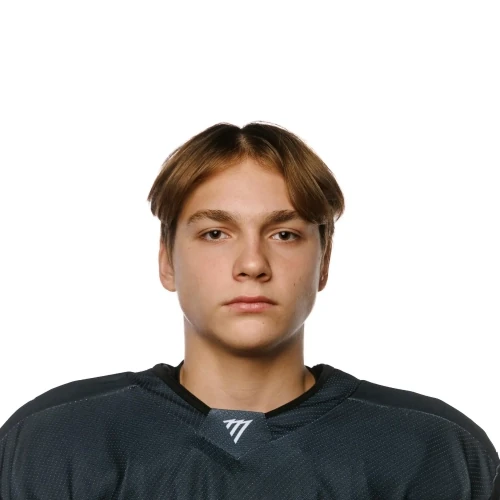 Emelyanov Dmitrii Mihailovich