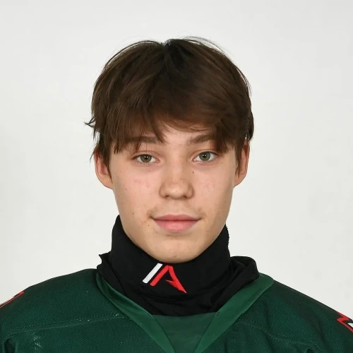 Gataullin Amir Ilgamovich