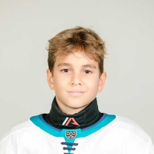 Rogozinskii Aleksandr Romanovich
