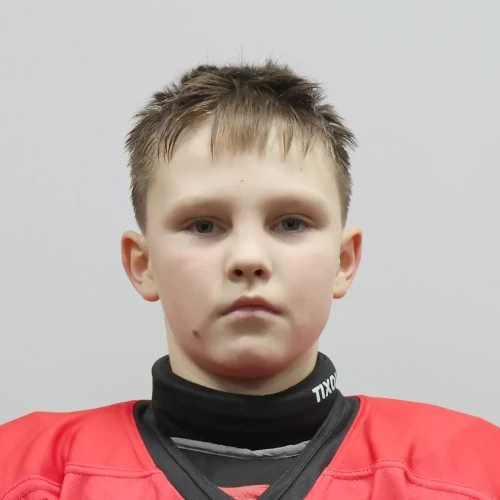 Islamgulov Denis Vasilevich