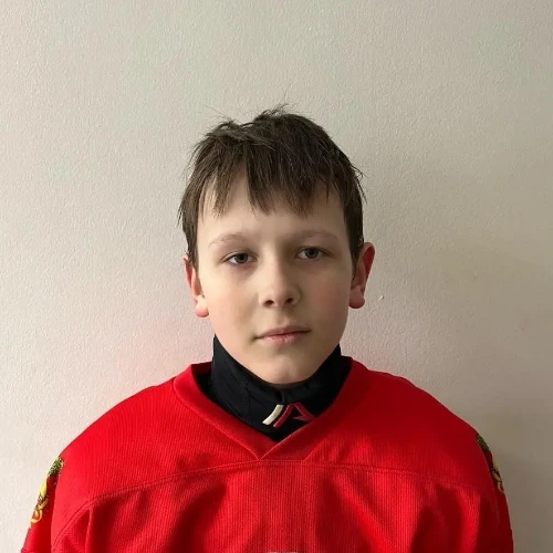 Sharov Vladislav Olegovich