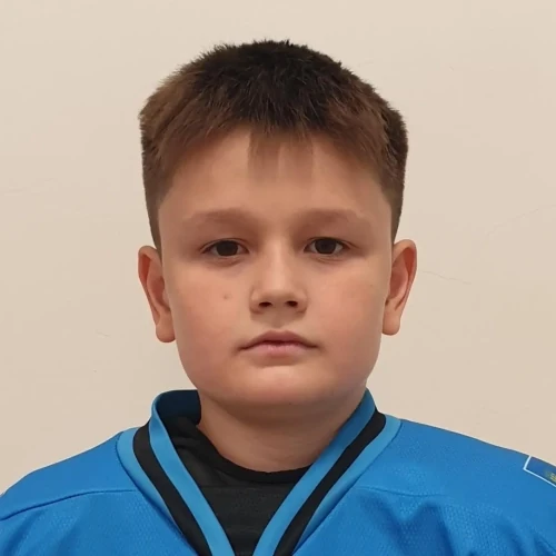 Vildanov Almaz Ilnurovich