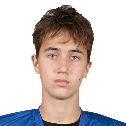Dovgopolyi Artem Alekseevich