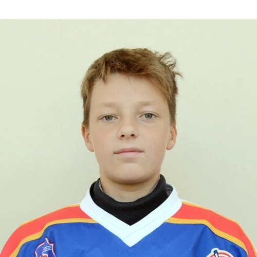 Baistryuchenko Danila Olegovich