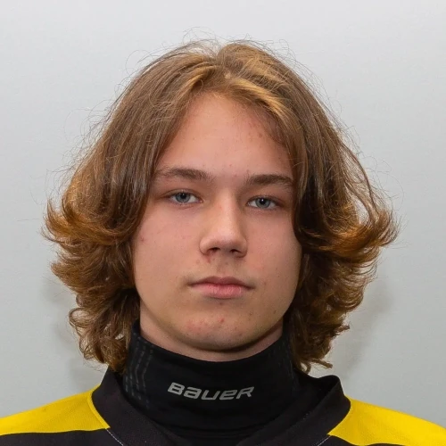Motorin Arsenii Dmitrievich
