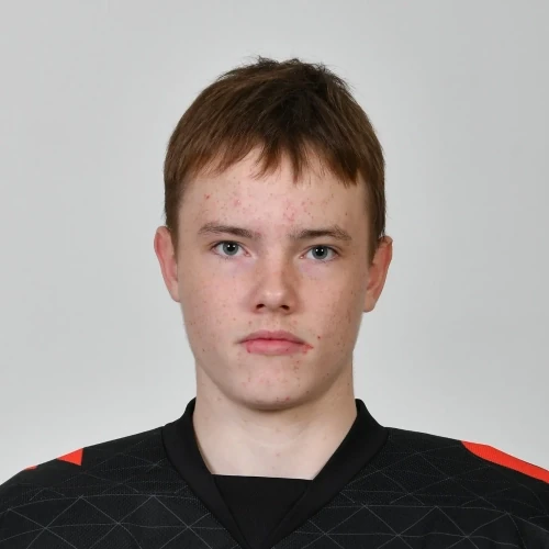 Mazurenko Vladislav Dmitrievich