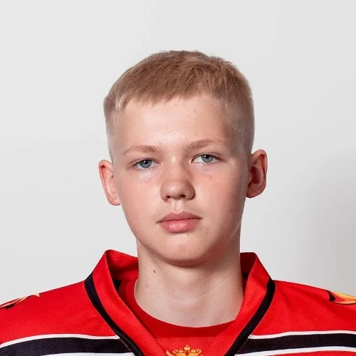 Vasilev Dmitrii Denisovich