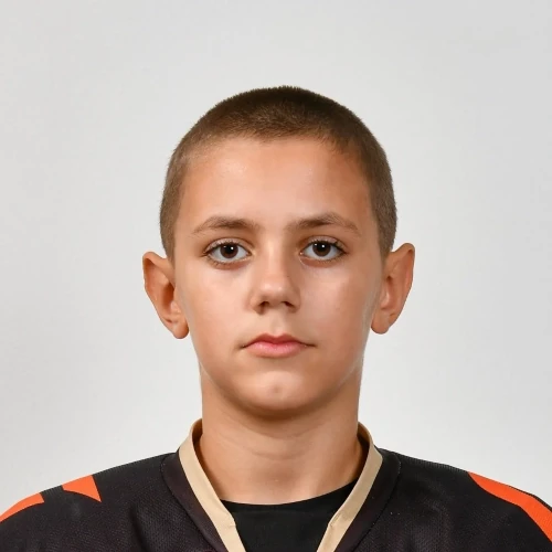 Alekseev Dmitrii Alekseevich