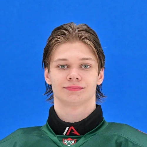 Devyatov Egor Sergeevich
