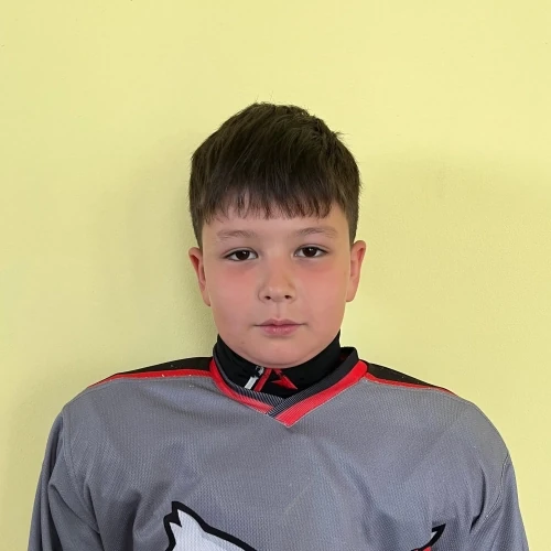 Ziyatdinov Amir Damirovich