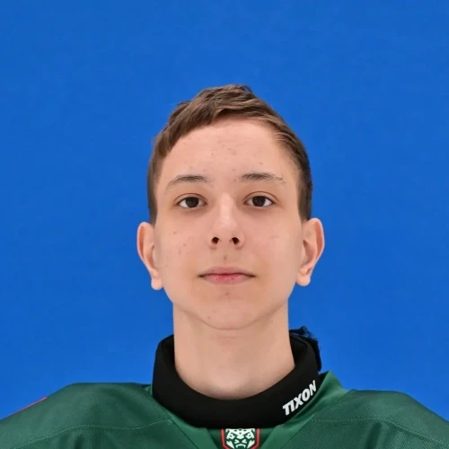 Galiullin Amir Ildarovich