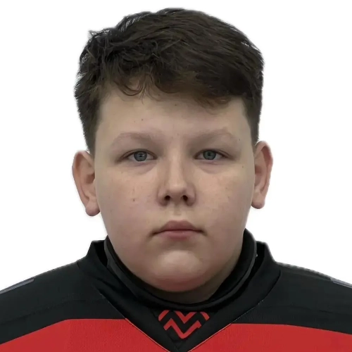 Шипицин Давид Эдуардович