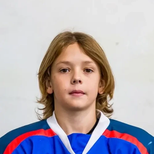 Vlasov Artem Vladimirovich
