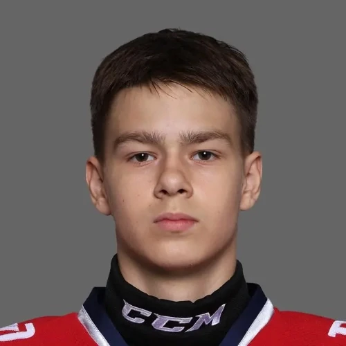 Сергеев Денис Александрович