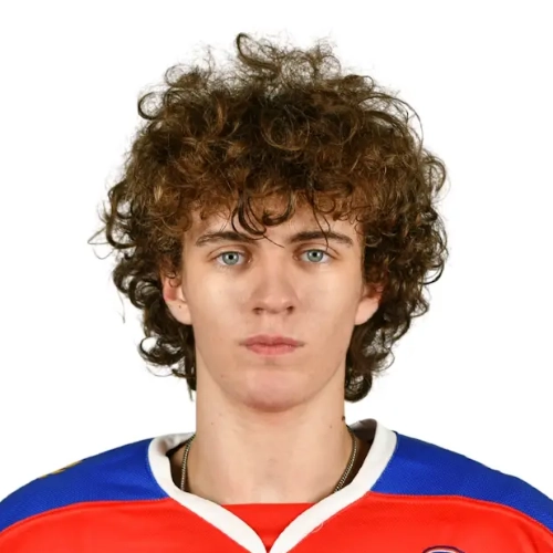 Vlasov Denis Aleksandrovich