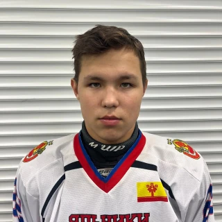Ermolaev Vadim Sergeevich