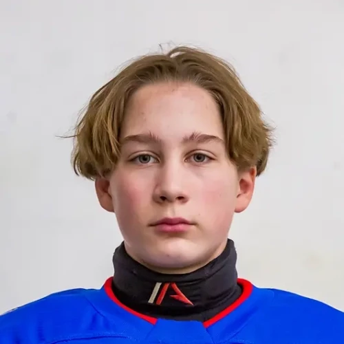Gavrilov Danila Sergeevich