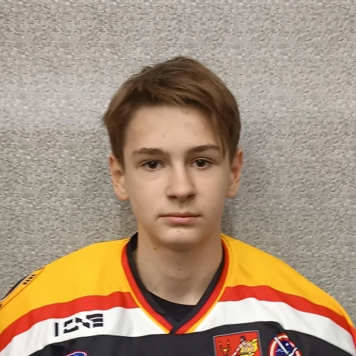 Gorodnichii Igor Andreevich