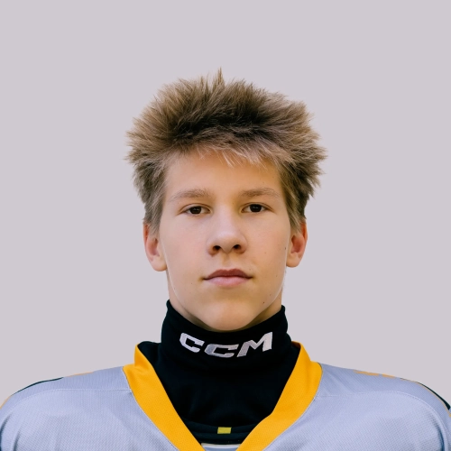 Sokolov Maksim Andreevich