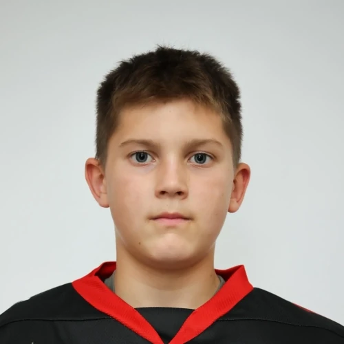 Plotnikov Dmitrii Mihailovich