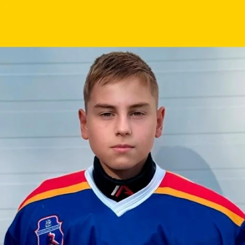 Almyashev Maksim Denisovich