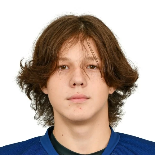 Gridasov Nikita Dmitrievich