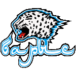Barys