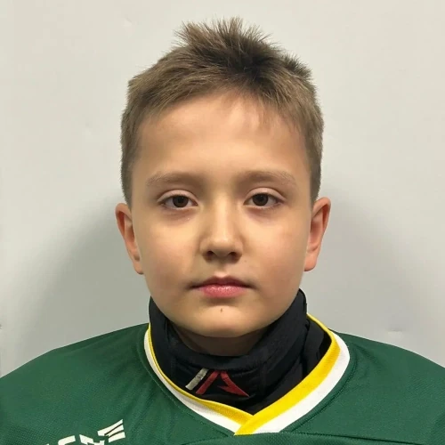 Mineev Rodion Andreevich