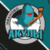 ХК Акулы