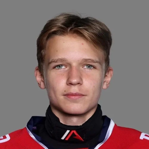 Toropov Artem Mihailovich