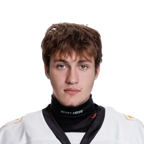Matsnev Aleksandr Viktorovich