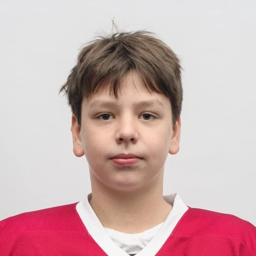 Podgornyh Dmitrii Denisovich