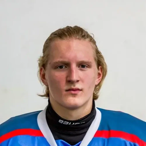 Mihalev Stepan Sergeevich