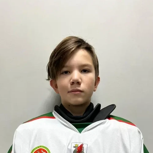 Gataullin Daniyar Ramilevich