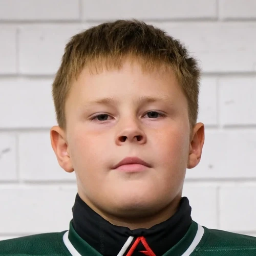 Lazarev Matvei Sergeevich