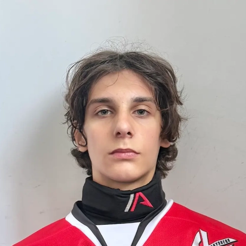 Novikov Egor Aleksandrovich