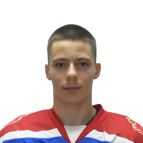 Fateev Nikita Andreevich