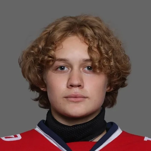 Hirov Stepan